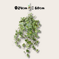 Hedera Helix Gold Child - Hang/XXL - Ø24cm - 60↕cm